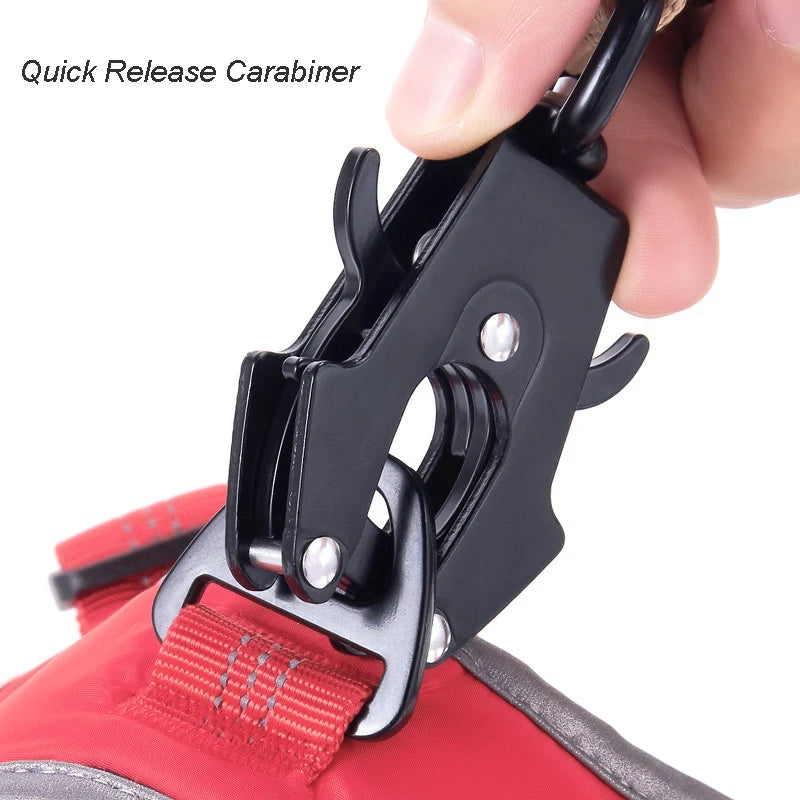 Heavy Duty Tactical Bungee Dog Leash & Car Seatbelt