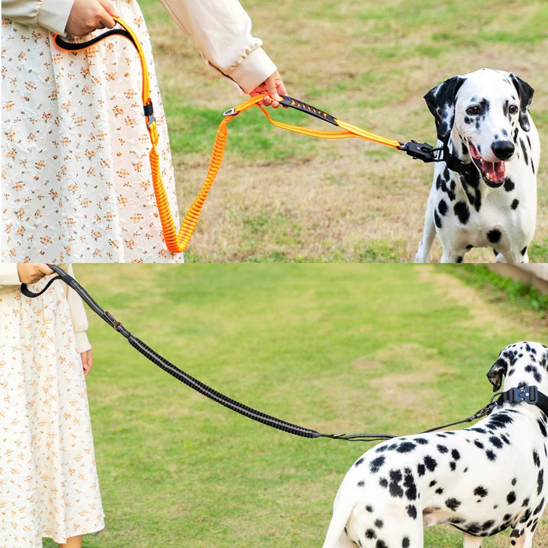 Heavy Duty Tactical Bungee Dog Leash & Car Seatbelt