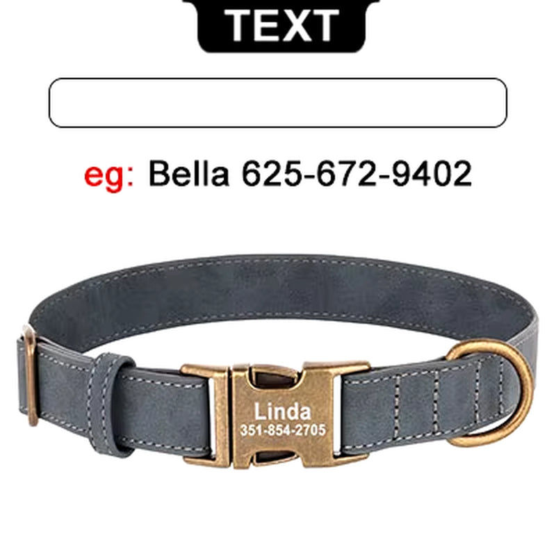 Personalized Engraved Buckle Pet Collars