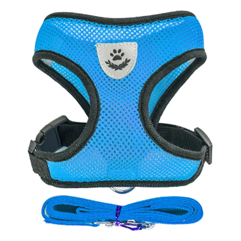 Walking Cat & Dog Adjustable Harness Rope Set