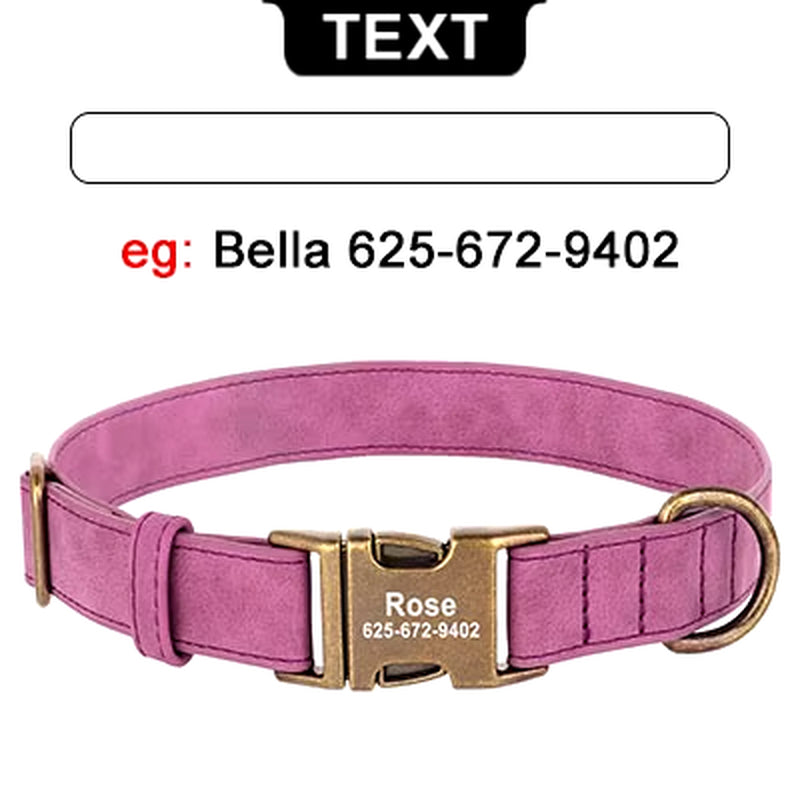 Personalized Engraved Buckle Pet Collars