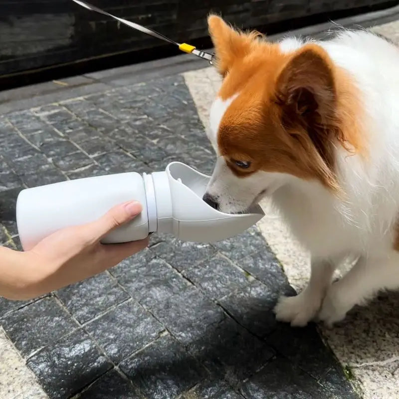 Packable Dog & Cat Travel Water Bottle 