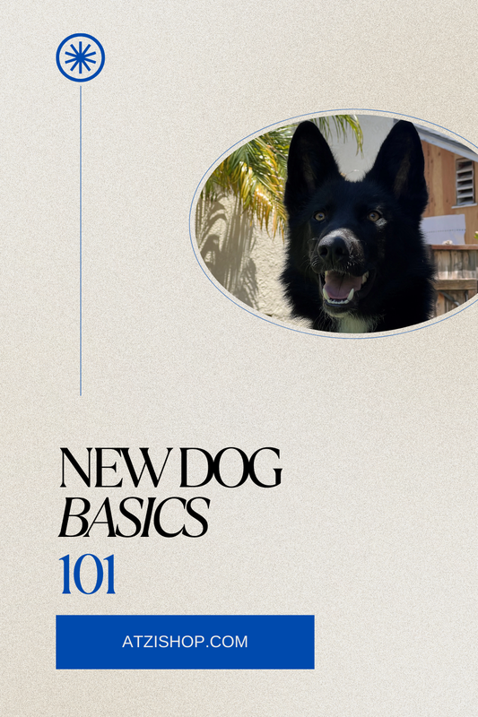 New Dog Basics 101- Tips & Help For Dog Owners