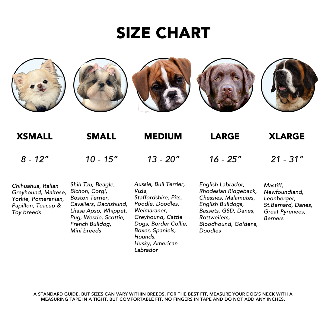 xsmall, small, medium, large, xlarge dog collar size chart for pets