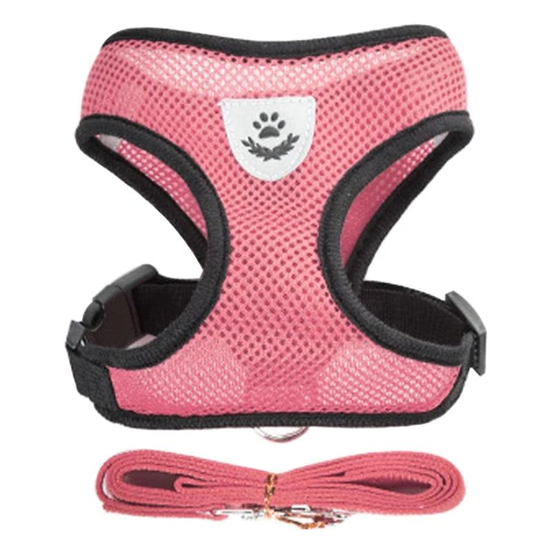 Walking Cat & Dog Adjustable Harness Rope Set