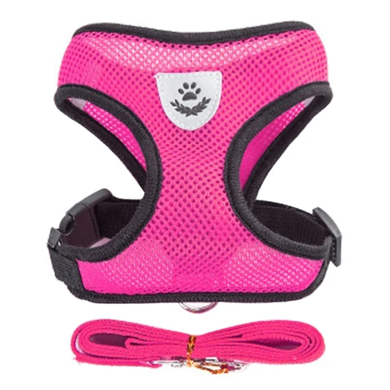 Walking Cat & Dog Adjustable Harness Rope Set