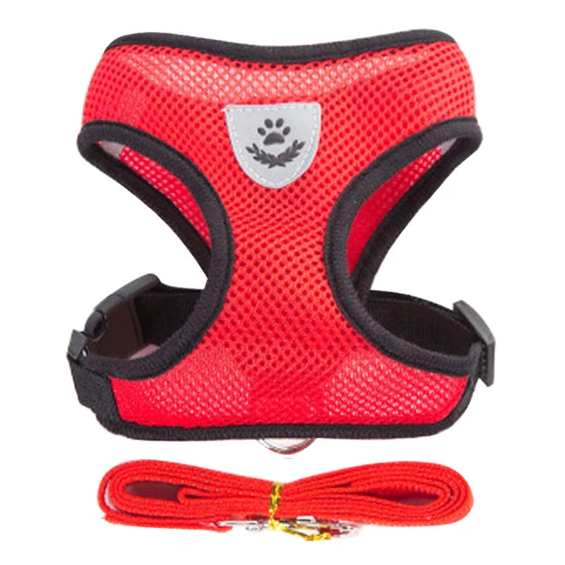 Walking Cat & Dog Adjustable Harness Rope Set