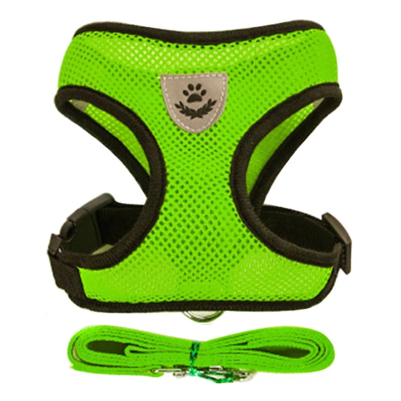 Walking Cat & Dog Adjustable Harness Rope Set