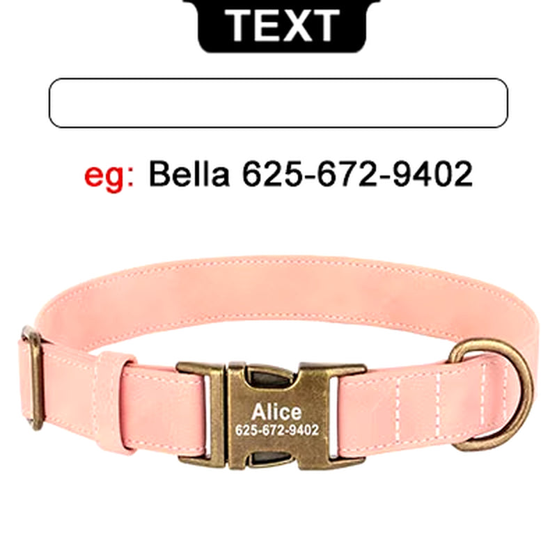 Personalized Engraved Buckle Pet Collars